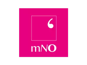 mno-300x225